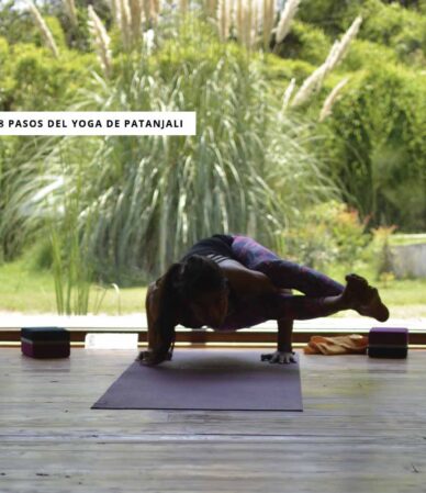 img-blog-patanjali